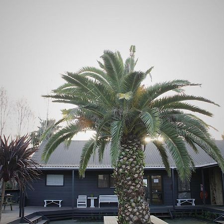 Hugo & Carters Backpackers & Motel Tauranga Luaran gambar The pool at the hotel