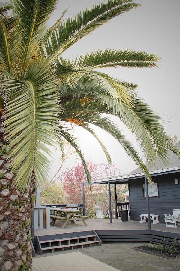 Hugo & Carters Backpackers & Motel Tauranga Luaran gambar Phoenix canariensis